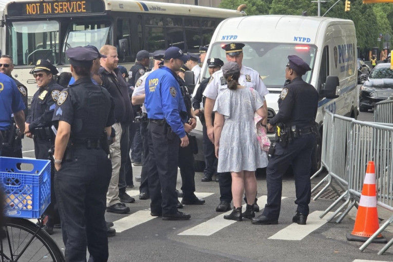 Met Gala 2024 hapšenje