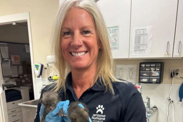 SPASIOCI SU IH ZBRINULI MISLEĆI DA SU MAČIĆI: Osoblje je primetilo da se radi o potpuno drugim životinjama