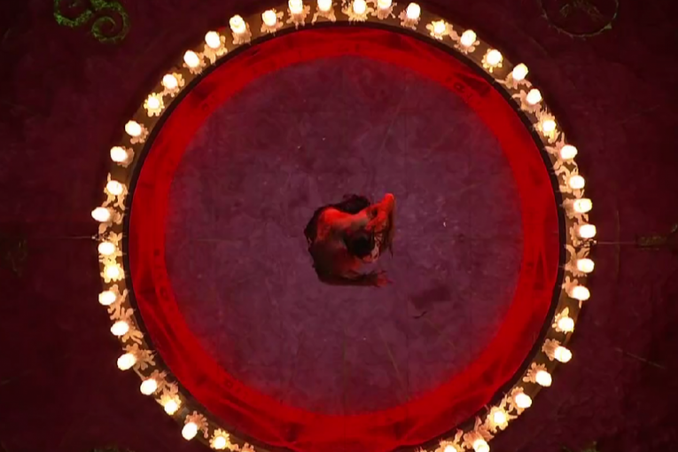 Irska Evrovizija 2024