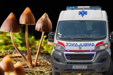 UBILA TROJE ROĐAKA PEČURKAMA, DOBILA 33 GODINE U ZATVORU: Familija posle presude šokirala sud i narod ovom porukom