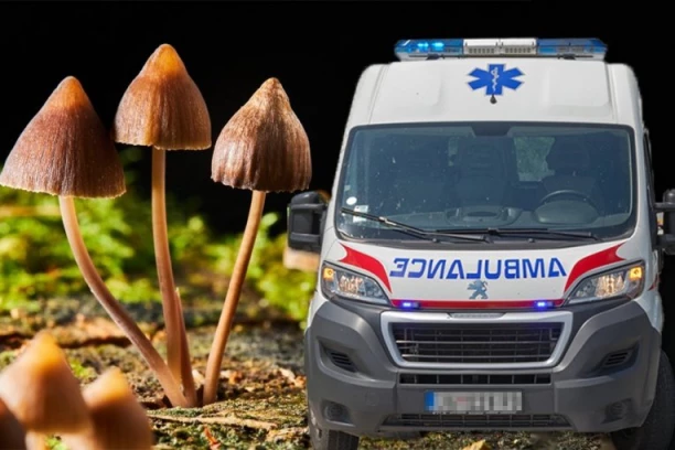 JEDNA OSOBA VEĆ JE PREMINULA: Izdato hitno upozorenje zbog trovanja gljivama!