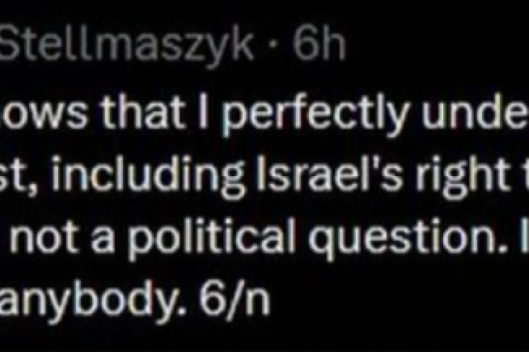 Poljski novinar komentariše predstavnicu Izraela na Evroviziji