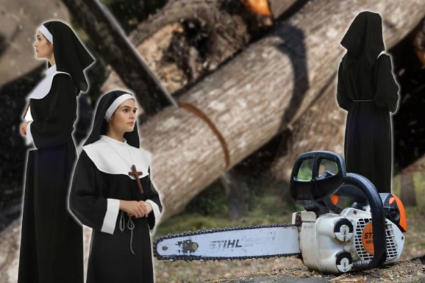 HIT! ČASNE SESTRE ILEGALNO POSEKLE STABLA U ŠUMI: Meštanima zakrčile put, NASTAO HAOS! Evo kako su se pravdale