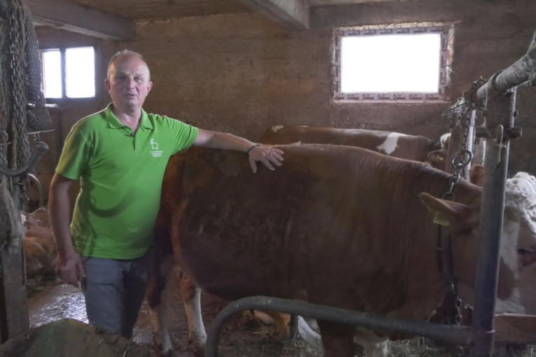 Goran kupio 16 krava i napravio veselje za 300 ljudi