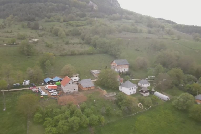 Goran kupio 16 krava i napravio veselje za 300 ljudi