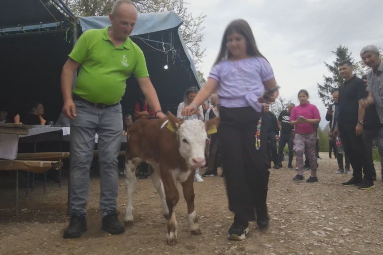 Goran kupio 16 krava i napravio veselje za 300 ljudi