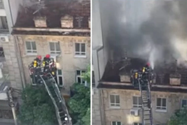 PRVI SNIMCI POŽARA U CARIGRADSKOJ: Vatrogasci imaju pune ruke posla, evo da li ima povređenih (VIDEO)