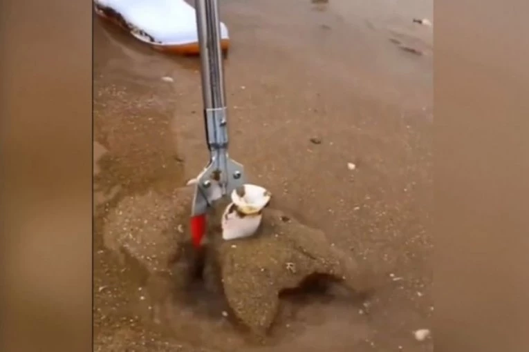 PAZITE KAKO HODATE NA PLAŽI:  Naziralo se nešto belo, a ispostavilo se da se radi o "čudovištu"