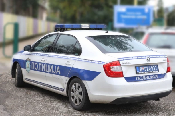 UŽAS U VELIKOM GRADIŠTU! Vlasnica azila prijavila da je uginulo 108 pasa, pronađeno 25  leševa