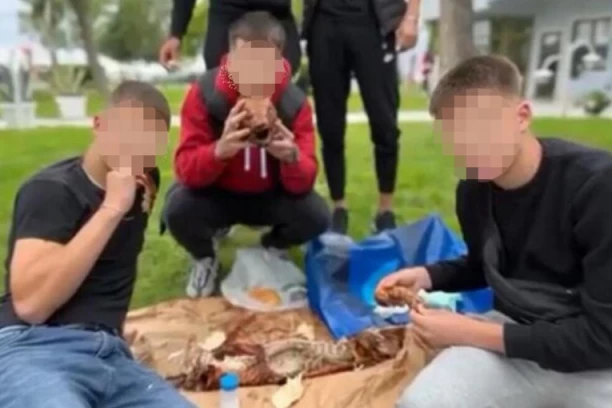 OVE FOTOGRAFIJE SU OBIŠLE INTERNET! GIMNAZIJALCI IZ NIŠA PONELI PRASE NA EKSKURZIJU: Rasprostrli pečenje na travu i pojeli ga rekordnom brzinom