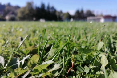 "GINISE GLEDAJ OVO I ZAPISUJ": Da li je ovaj fudbalski klub već upisao svoje ime u svetske knjige?!