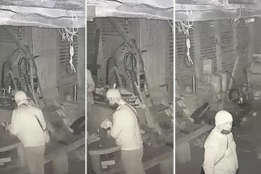 AKO PREPOZNATE OVOG ČOVEKA ODMAH JAVITE POLICIJI! Ojadio privatnu firmu, pokrao laptopove i mobilne uređaje - šteta hiljade evra! (VIDEO)