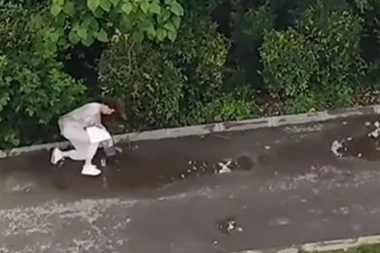 VRANE MASOVNO NAPADAJU LJUDE PO NIŠU! Snimljena čak četiri napada i to u istoj ulici! KAO U HIČKOKOVOM FILMU! (VIDEO)