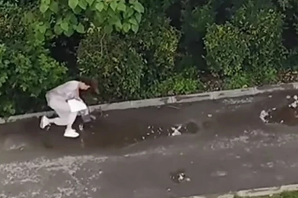 VRANE MASOVNO NAPADAJU LJUDE PO NIŠU! Snimljena čak četiri napada i to u istoj ulici! KAO U HIČKOKOVOM FILMU! (VIDEO)