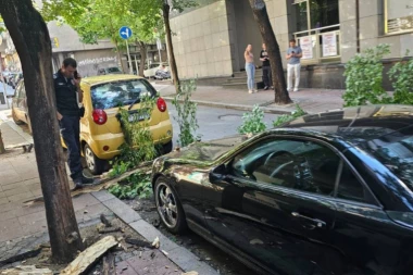 BLOKIRAN SAOBRAĆAJ U CARA UROŠA: Drvo palo na parkirane automobile i preprečilo put (FOTO)
