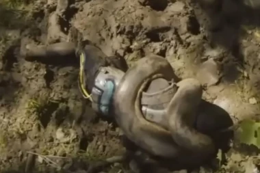 DOZVOLIO JE ANAKONDI DA GA PROGUTA: Obukao je specijalno odelo, probao eksperiment na njoj, a onda usledio PAKAO (FOTO/VIDEO)