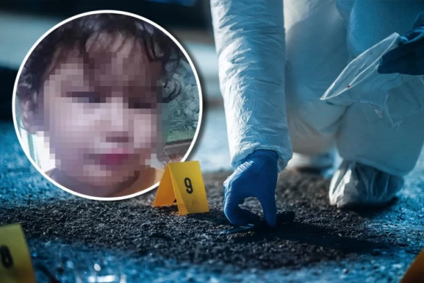 NA KAMERAMA SE VIDI DETE KOJE ULAZI U KUĆU ROĐAKA I NIKAD NE IZLAZI! Novi jezivi detalji ubistva male Raise: Ugušena, pa bačena u rastinje!