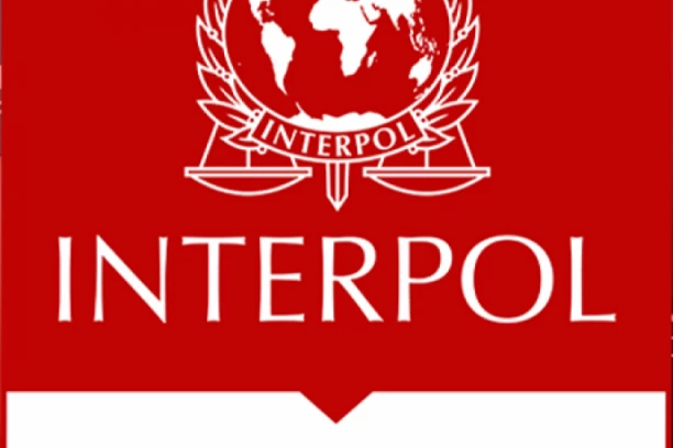 DRŽAVLJANIN SRBIJE UHAPŠEN PO INTERPOLOVOJ POTERNICI: Pokušao beg preko ovog graničnog prelaza!