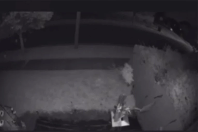 PUCNJAVA NA ROĐENDANSKOJ PROSLAVI, IMA MRTVIH I RANJENIH! Nastala opšta bežanija, spasavaj se ko može! Snimljen trenutak UŽASA! (VIDEO)