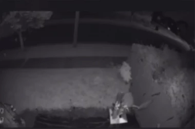 PUCNJAVA NA ROĐENDANSKOJ PROSLAVI, IMA MRTVIH I RANJENIH! Nastala opšta bežanija, spasavaj se ko može! Snimljen trenutak UŽASA! (VIDEO)