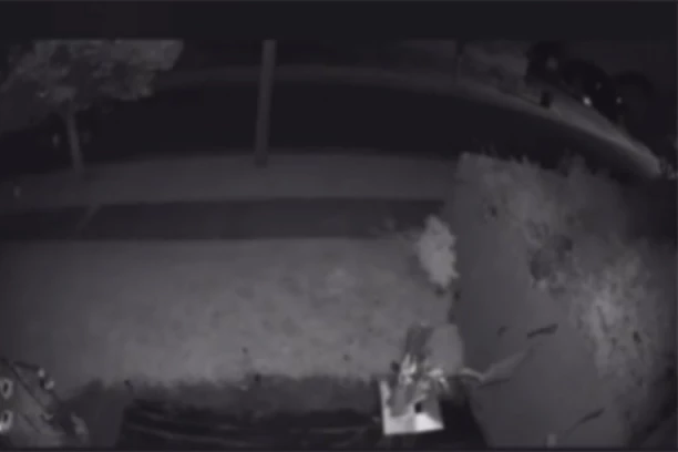 PUCNJAVA NA ROĐENDANSKOJ PROSLAVI, IMA MRTVIH I RANJENIH! Nastala opšta bežanija, spasavaj se ko može! Snimljen trenutak UŽASA! (VIDEO)