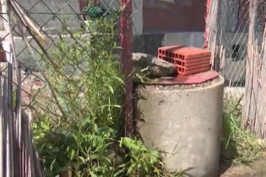 OVO JE ŠAHT U KOJE JE UPALO SEDMOGODIŠNJE DETE! Devet metara je dubok, a mališan se držao za LANAC! (FOTO)