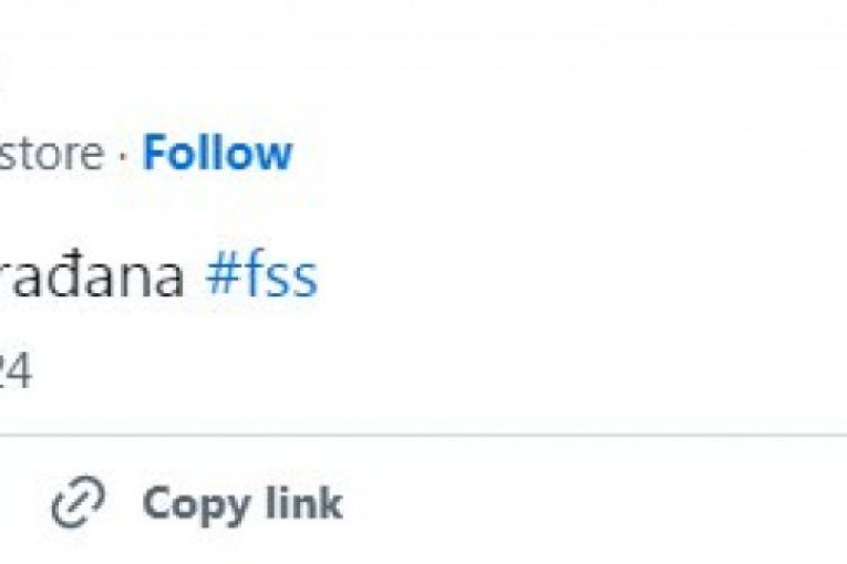 Reakcije navijača nakon utakmice u Beču. Austrija - Srbija 2:1 (2:1)