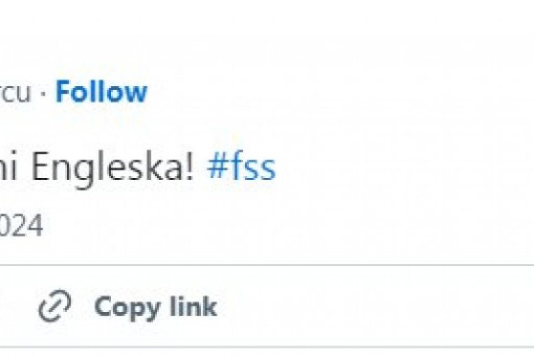 Reakcije navijača nakon utakmice u Beču. Austrija - Srbija 2:1 (2:1)