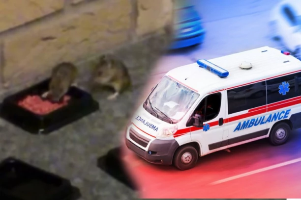 BRAĆA STARA TRI I PET GODINA POJELA OTROV ZA MIŠEVE! Novi detalji trovanja dečaka u Kuršumliji! EVO U KAKVOM SU STANJU!
