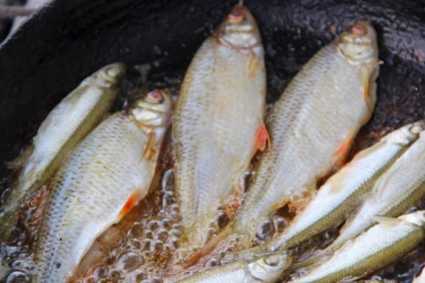 PRŽITE RIBU I SVE SE NEPRIJATNO OSEĆA?  Problem se lako rešava, a vaš obrok će biti još ukusniji!