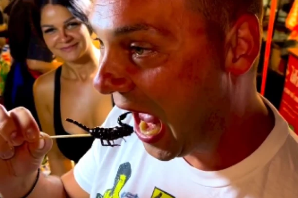 NAŠ FOLKER GUTAO ŽIVE ŠKORPIJE, A ONDA SE DESILO OVO! Procurio snimak sa lica mesta, svi su šokirani! (VIDEO)