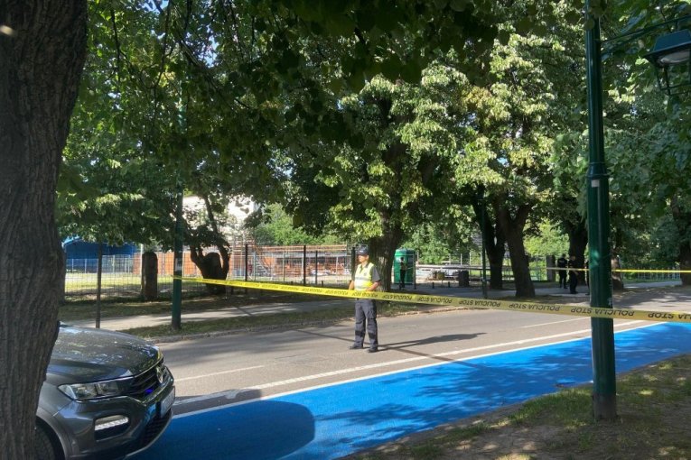 Ubistvo Anela KršaUbistvo Anela Krša