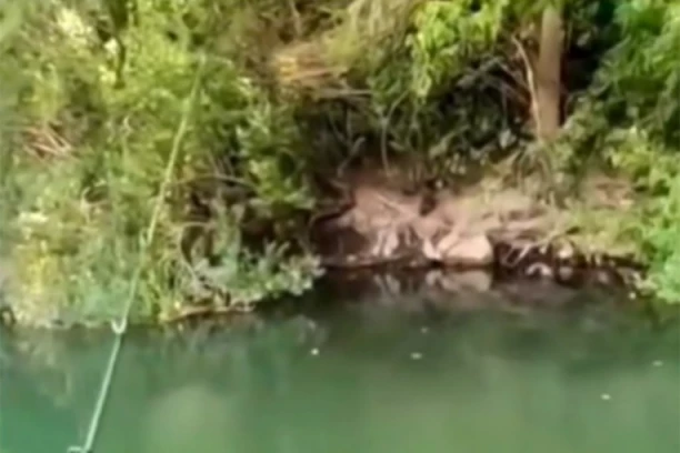 DRAMA NA PECANJU! RIBAR DOŽIVEO ISKUSTVO KAO IZ HOROR FILMA! Niko nije očekivao da će ovakva ZVERČINA izleteti iz VODE! (VIDEO)