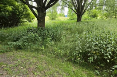 NEVIĐENA SRAMOTA NEMACA! Pogledajte kako izgleda PRILAZ stadionu na kome će igrati Srbija! (FOTO)
