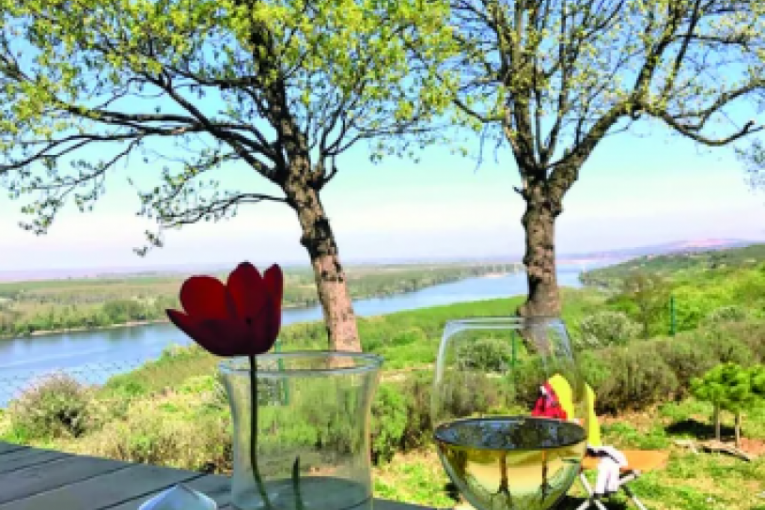 SLoboda Mićalović i Vojin Ćetković