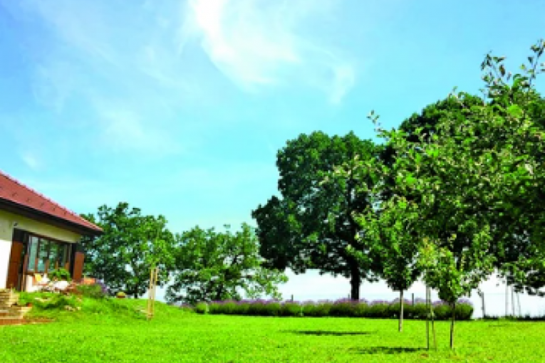 SLoboda Mićalović i Vojin Ćetković
