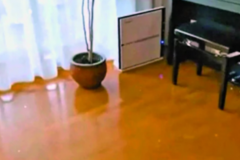 SLoboda Mićalović i Vojin Ćetković