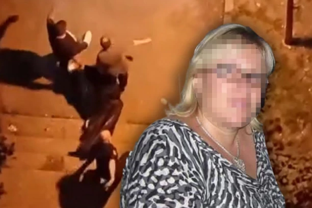 "IMALA JE VIDLJIVE POVREDE NA TELU!" Potresno svedočenje kolege brutalno ubijene Sonje: NIJE DAO DA SE LEČI JER SU DOKTORI MUŠKARCI!