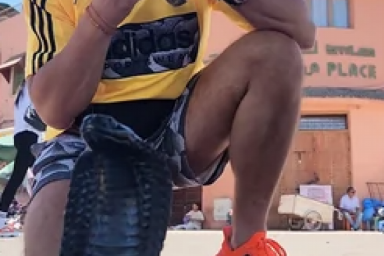 Aleksandar Milić Mili sa zmijama instagram