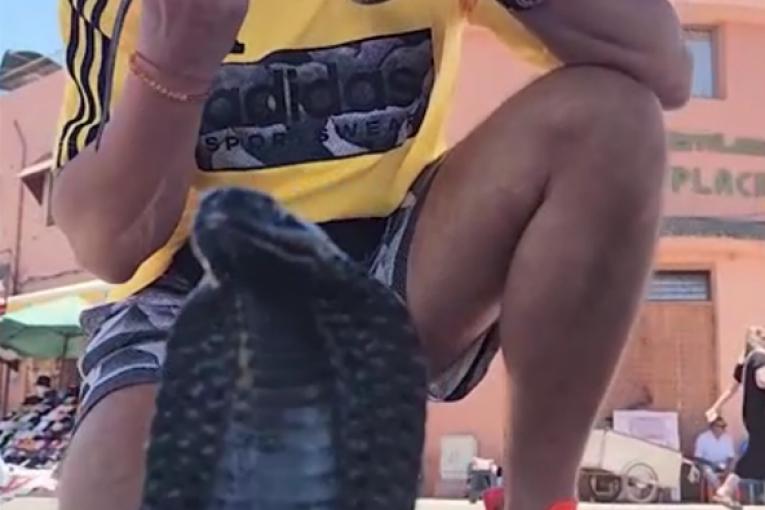 Aleksandar Milić Mili sa zmijama instagram