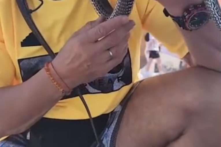 Aleksandar Milić Mili sa zmijama instagram