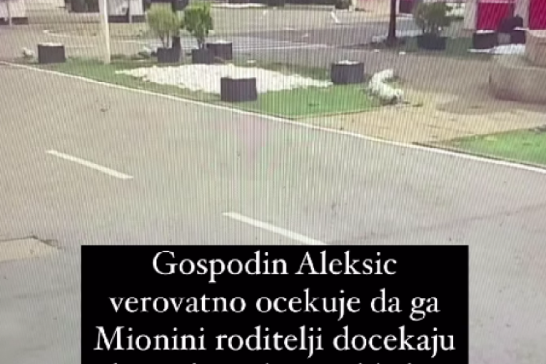 Miona Jovanović Elita 7 Nenad Aleksić Ša