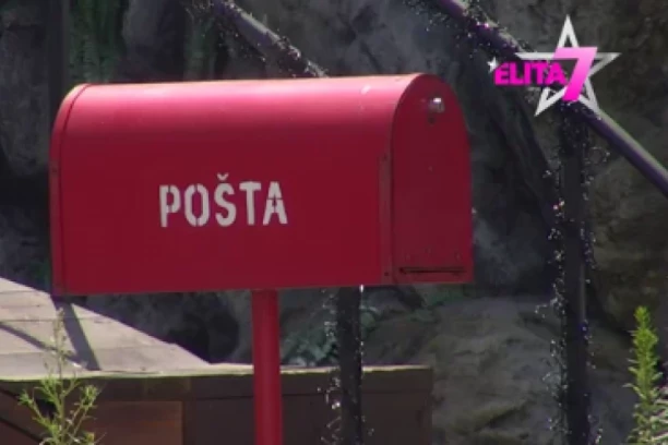 POČINJE PAKAO NENADA ALEKSIĆA ŠA! Veliki šef poslao HITNO saopštenje takmičarima Elite!