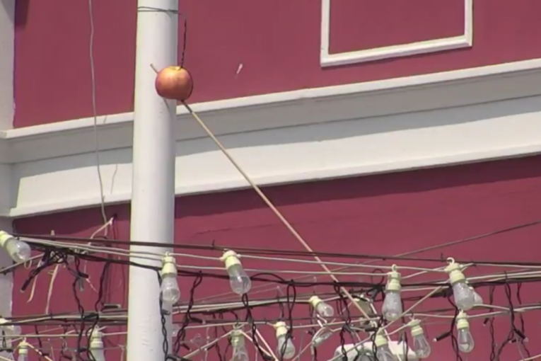 Stanislav Krofak gađa jabuku Elita 7