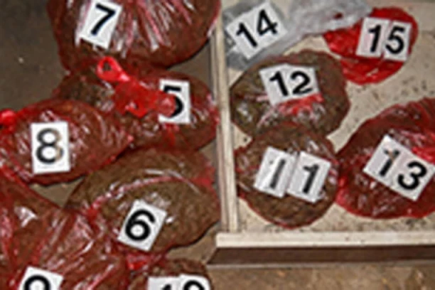 KOKAIN PRONAĐEN MEĐU VOLOVIMA! Neverovatna zaplena, u sve prste umešao kartel sa Balkana