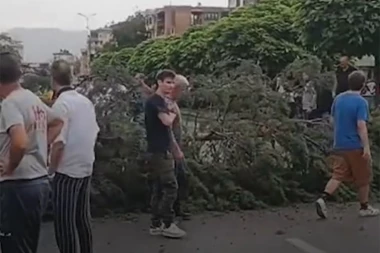 UŽAS! DRVO PALO NA ŽENU! Ekipa Hitne pomoći i građani je izvlače ispod njega! ŽALI SE NA JAKE BOLOVE! (VIDEO)