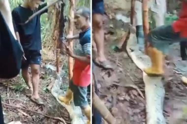 ZMIJA POJELA MAJKU PETORO DECE! Nezapamćen užas otkrio njen muž, a onda je počela NOVA DRAMA (UZNEMIRUJUĆI VIDEO)