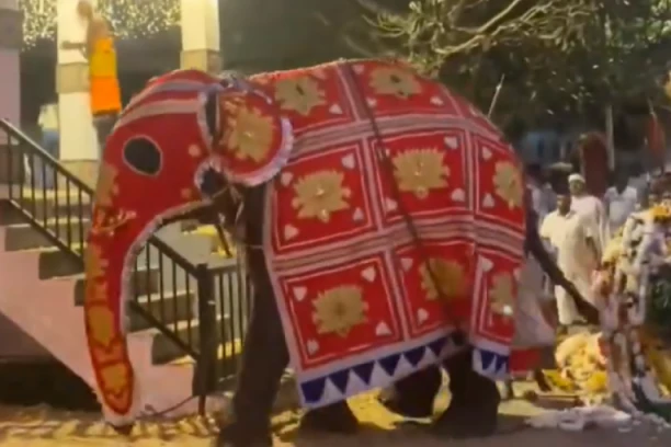 RAZJARENI SLON GAZIO SVE PRED SOBOM: Povređeno najmanje 13 ljudi tokom verske procesije (VIDEO)