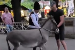 SNIMAK ZGROZIO SRBIJU: Dvojica muškaraca BRUTALNO ZLOSTAVLJALA nemoćnog magarca, ovo tera suze na oči! (UZNEMIRUJUĆ VIDEO)