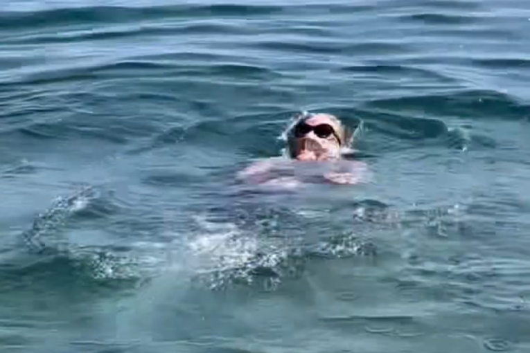 Lepa Brena instagram snimak